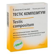 Тестис композитум 